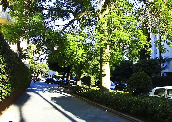 Chambao Apartment Marbella